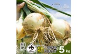 【新玉ねぎ】淡路島たまねぎ 歩-AYUMU- 5kg【発送時期：2026年3月～5月頃】玉ねぎ