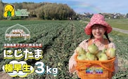 淡路島産ブランド新玉ねぎ 極早生 「にじたま」  3kgダンボール入り【発送時期2026年2月中旬～4月頃】