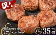 訳アリ 淡路島玉ねぎと国産牛のミニハンバーグ1.4kg　40ｇ×35個