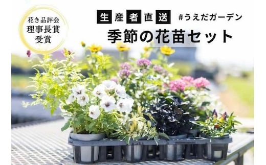 dショッピングふるさと納税百選 | 『花・苗木』で絞り込んだにかほ市の