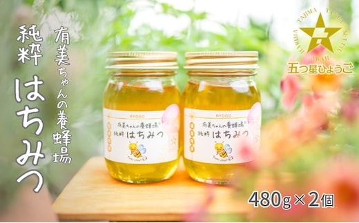 はちみつ 五つ星ひょうご認定商品 有美ちゃんの養蜂場の純粋はちみつ 480g 2個 セット ハチミツ 蜂蜜 非加熱 生はちみつ 国産 セット ハニー 加工品 