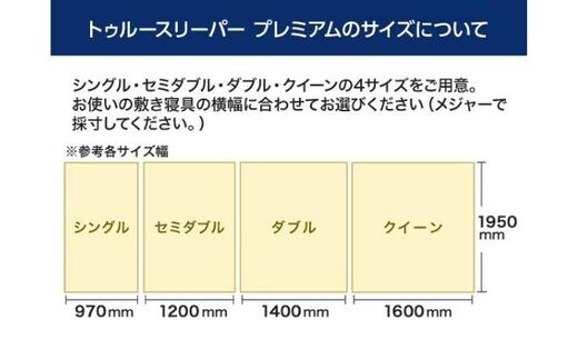 トゥルースリーパー プレミアム クイーン [ 寝具 マット 低反発 体圧