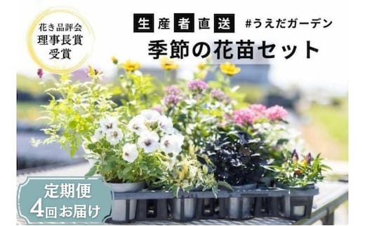 花 定期便 4ヶ月季節の花苗 セット 花き品評会理事長賞受賞 花苗 生産者直送 庭季節の花苗セット ガーデニング 花壇 苗 苗木 花の苗 花の苗物 定期 お楽しみ 4回 お届け 