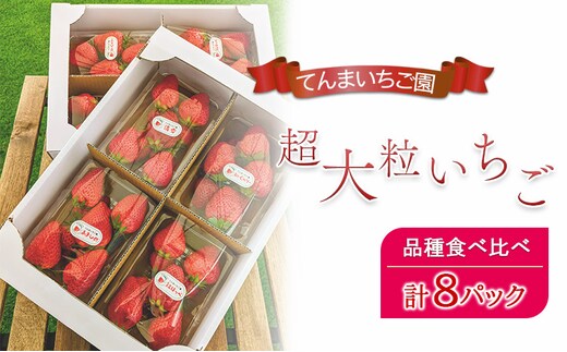 【予約受付】てんまいちご園 超大粒いちご 8パックセット 品種食べ比べボックス いちご イチゴ 食べ比べ 超大粒 大粒 兵庫県 稲美町 果物類 苺 