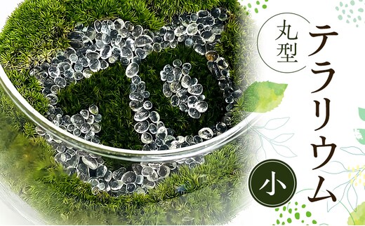 丸型テラリウム（小）