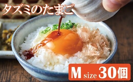 【TVで紹介されました】タズミの卵Ｍサイズ（30個）008AB01N.／こだわり卵 市川町産 兵庫県産 たまご たまごかけご飯 玉子 生卵 鶏卵 タマゴ 卵焼き TKG
