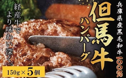 但馬牛経産牛ハンバーグ（150g×5個）010AA09N.／個包装 牛肉 黒毛和牛 100% 国産 経産牛 和牛 赤身 味付け ほくぶ バーベキュー bbq キャンプ アウトドア 焼肉 小分け 簡単調理 セット 詰め合わせ 詰合せ 冷凍 お弁当 おかず 