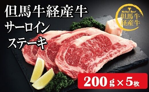 但馬牛経産牛「サーロインステーキ」200ｇ×5枚 032AA01N.／黒毛和牛 ステーキ肉 いちかわ精肉店 経産牛 牛肉 国産 bbq バーベキュー 焼肉 ステーキ サーロイン 赤身 肉 冷凍 焼き肉用 