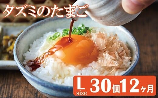 ★TVで紹介されました★【定期便】タズミの卵Ｌサイズ（30個×12ヶ月）097AB01N.／こだわり卵 市川町産 兵庫県産 たまご たまごかけご飯 玉子 生卵 鶏卵 タマゴ 卵焼き TKG 12か月 定期便