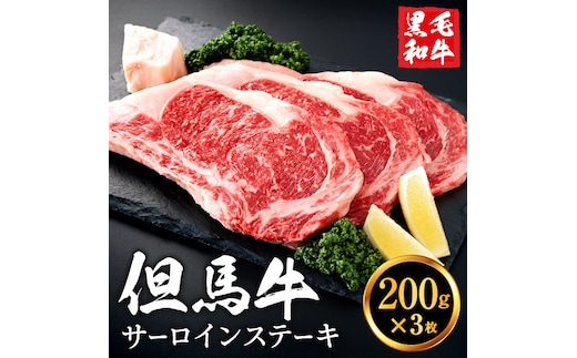 但馬牛経産牛「サーロインステーキ」200ｇ×3枚 020AA02N.／黒毛和牛 ステーキ肉 いちかわ精肉店 経産牛 牛肉 国産 bbq バーベキュー 焼肉 ステーキ サーロイン 赤身 肉 冷凍 焼き肉用 