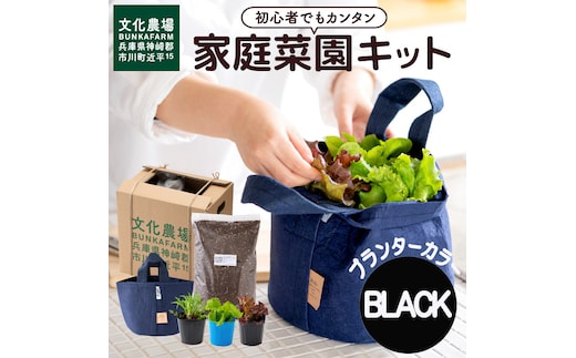 011BK01N.はじめての家庭菜園キット「サラダガーデン」（プランター色：ブラック）