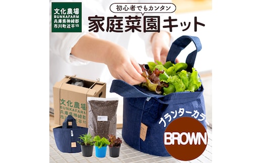 011BK02N.はじめての家庭菜園キット「サラダガーデン」（プランター色：ブラウン）
