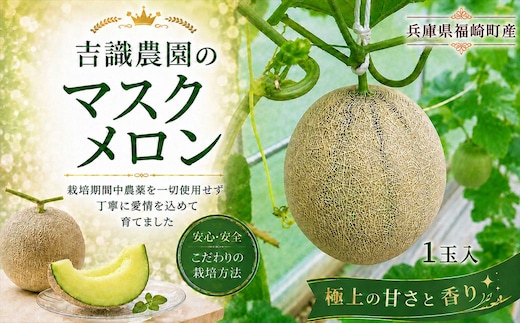 マスクメロン「パノン」1玉 農薬不使用栽培 贈答用 化粧箱入り