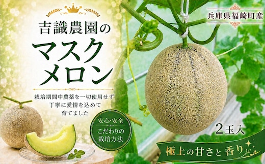 マスクメロン「パノン」2玉 農薬不使用栽培 贈答用 化粧箱入り