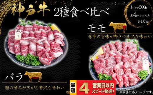 神戸牛 焼肉 2種食べ比べセット もも肉 ばら肉 計1.6kｇ 赤身 脂の甘み 牛肉 国産牛 和牛 焼き肉 バーベキュー BBQ ギフト お祝い 神戸ビーフ スピード発送 4営業日以内