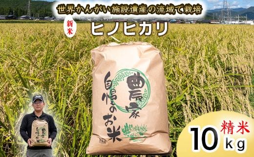 【 精米 新米 】令和7年度産 ヒノヒカリ 八千種米 お米 10kg ごはん 兵庫県産 世界かんがい施設遺産登録『西光寺野疏水路』