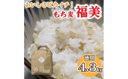 美味しさピカイチ!成分ピカイチ!もち麦は『福美』に決まり!!徳用4.3kg
