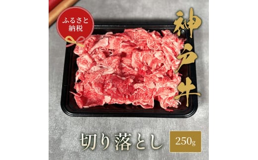 【和牛セレブ】 神戸牛 切り落とし 250g 切落し 牛肉 肉 神戸ビーフ 神戸肉