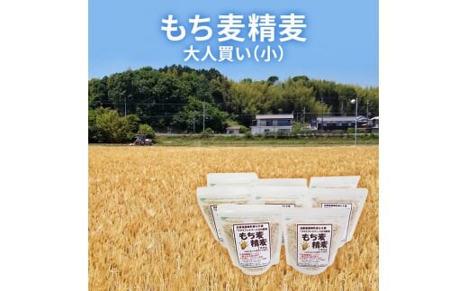 もち麦 精麦 大人買い(小) もちむぎ 雑穀