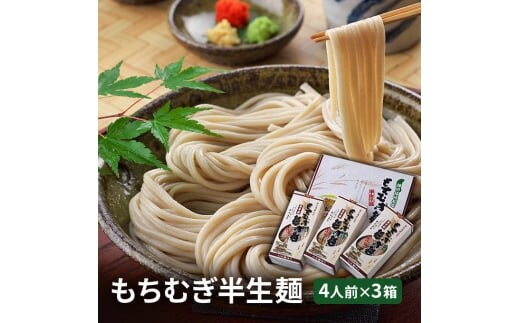 【五つ星ひょうご選定商品】もちむぎ半生麺 4人前×3箱セット