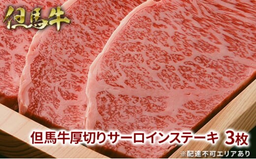 但馬牛 厚切り サーロイン ステーキ 300g×3枚 計900g 牛肉 国産牛 和牛 BBQ バーベキュー アウトドア お祝い