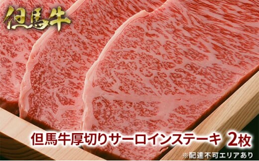 但馬牛 厚切り サーロイン ステーキ 300g×2枚 計600g 牛肉 国産牛 和牛 BBQ バーベキュー アウトドア お祝い