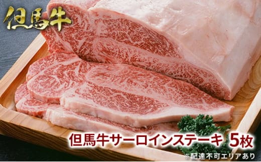 但馬牛 サーロイン ステーキ 200g×5枚 計1kg 牛肉 国産牛 和牛 BBQ バーベキュー アウトドア お祝い