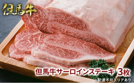 但馬牛 サーロイン ステーキ 200g×3枚 計600g 牛肉 国産牛 和牛 BBQ バーベキュー アウトドア お祝い