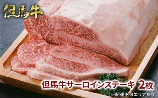 但馬牛 サーロイン ステーキ 200g×2枚 計400g 牛肉 国産牛 和牛 BBQ バーベキュー アウトドア お祝い