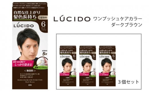 マンダム ルシード ワンプッシュケアカラー ダークブラウン 3個セット MA-16 LUCIDO 毛染め 白髪 カラーリング 男性化粧品