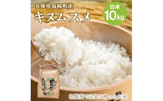 白米 10kg 令和7年産 兵庫県産キヌムスメ 【食味スコア80】 冷めても美味しい おにぎりにおすすめ お弁当におすすめ