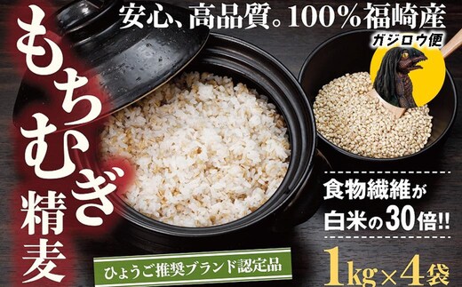 ガジロウ便【北海道・東北・九州】もちむぎ精麦 4kg
