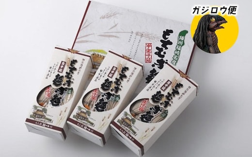 ガジロウ便【北海道・東北・九州】もちむぎ半生麺 4人前×3箱セット