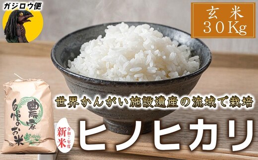 ガジロウ便【北海道・東北・九州】玄米 30kg 令和7年度産 ヒノヒカリ 八千種米 お米 30kg ごはん 兵庫県産 世界かんがい施設遺産登録『西光寺野疏水路』