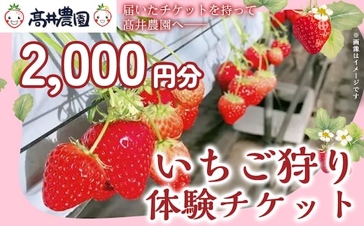 【家族で楽しむ】いちご狩り体験チケット 2,000円分 いちご いちご狩り チケット 果物 フルーツ 大粒 濃厚 食べ放題 食べ比べ 兵庫県 福崎町