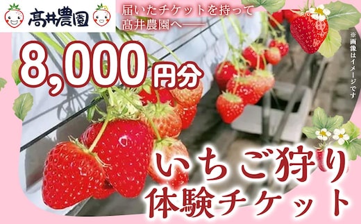 【家族で楽しむ】いちご狩り体験チケット 8,000円分 いちご いちご狩り チケット 果物 フルーツ 大粒 濃厚 食べ放題 食べ比べ 兵庫県 福崎町