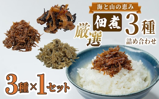 厳選佃煮3種セット 海と山の恵み (計3袋) 【国内産シラスのくぎ煮 65g ほたて貝ひもとキクラゲ 80g 生炊きちりめん山椒 90g】 しらす ほたて 貝ひも キクラゲ ちりめん山椒 ごはんのお供 お酒のおつまみ 小分け