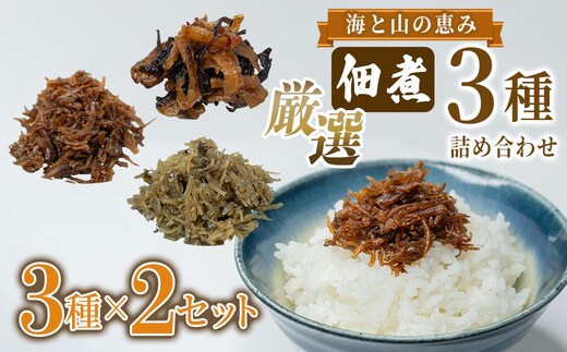 厳選佃煮3種セット 海と山の恵み (計6袋)【国内産シラスのくぎ煮 65g ほたて貝ひもとキクラゲ 80g 生炊きちりめん山椒 90g】各2袋 しらす ほたて 貝ひも キクラゲ ちりめん山椒 ごはんのお供 お酒のおつまみ 小分け