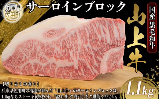 【牧場直売店】兵庫県産黒毛和牛 サーロインブロック 1.1kg 牛肉 国産牛 山上牛
