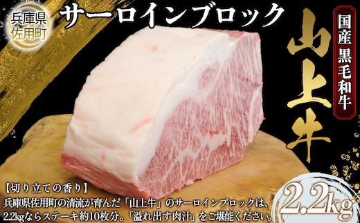 【牧場直売店】兵庫県産黒毛和牛 サーロインブロック 2.2kg 牛肉 国産牛 山上牛