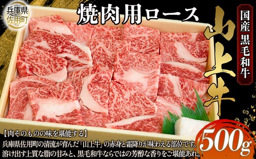 【牧場直売店】兵庫県産黒毛和牛 焼肉用ロース 500g 牛肉 国産牛 山上牛