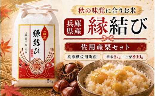 数量限定 【早期予約 10月上旬から順次出荷】令和8年産 新米 精米 兵庫県産 縁結び 5kg 佐用産栗800g