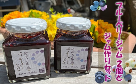 ブルーベリージャム2個と ジャム作りセット（冷凍ブルーベリー 1kg＋グラニュー糖） フルーツ 自家製ジャムキット 
