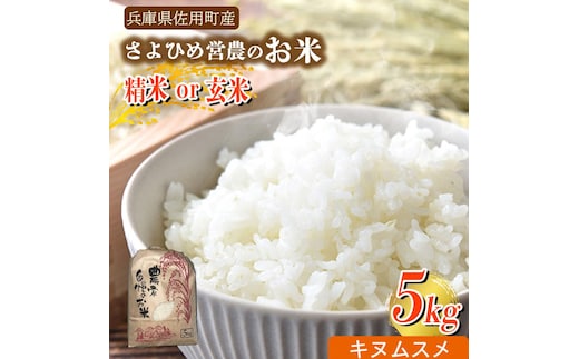 【兵庫県佐用町産】さよひめ営農のお米 5kg キヌムスメ/玄米