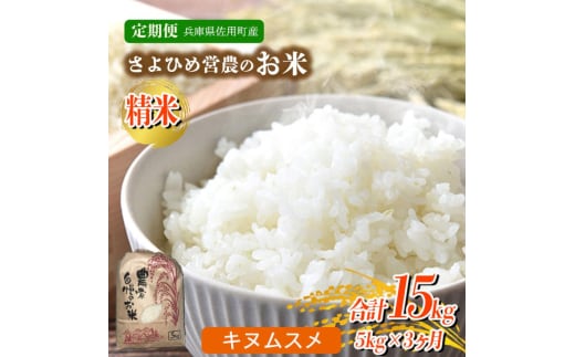 【3ヵ月定期便】兵庫県佐用町産 お米 5kg×3ヵ月 (計15kg) 精米 キヌムスメ