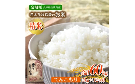 【12ヵ月定期便】兵庫県佐用町産 お米 5kg×12ヵ月 (計60kg) 精米 てんこもり