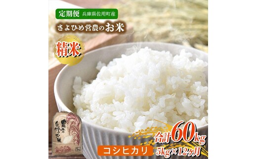 【12ヵ月定期便】兵庫県佐用町産 お米 5kg×12ヵ月 (計60kg) 精米 コシヒカリ