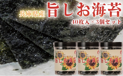 兵庫県産旨しお海苔 40枚入×3個セット