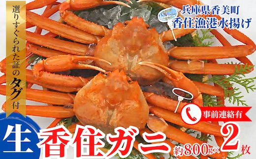 【先行予約】香住ガニ（生）大 タグ付き 約800g×2枚 【冷蔵】令和7年11月以降、カニの水揚げ次第順次発送予定 03-07