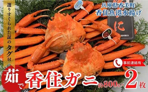【先行予約】【香住ガニ（ボイル）大 タグ付き 約800g×2枚 冷蔵】【令和7年11月以降、カニの水揚げ次第順次発送予定】香住 かに ベニズワイガニ 丸ごと 脚 爪 身 ほぐし むき身 かにすき 鍋 03-08
